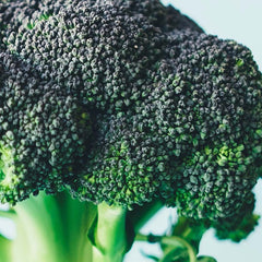 Bioactive Phytonutrients
